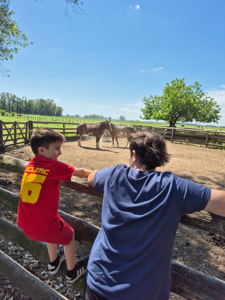 WhatsApp Image 2025-10-11 at 19.06.391.jpeg